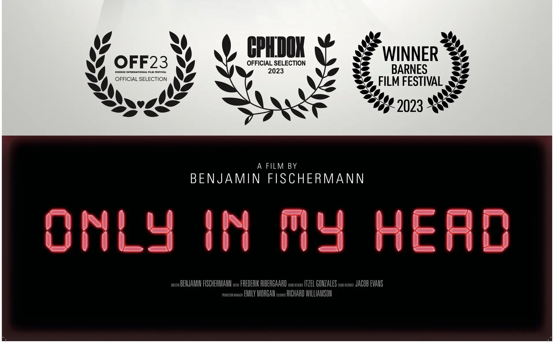 Only in my Head documentary movie poster