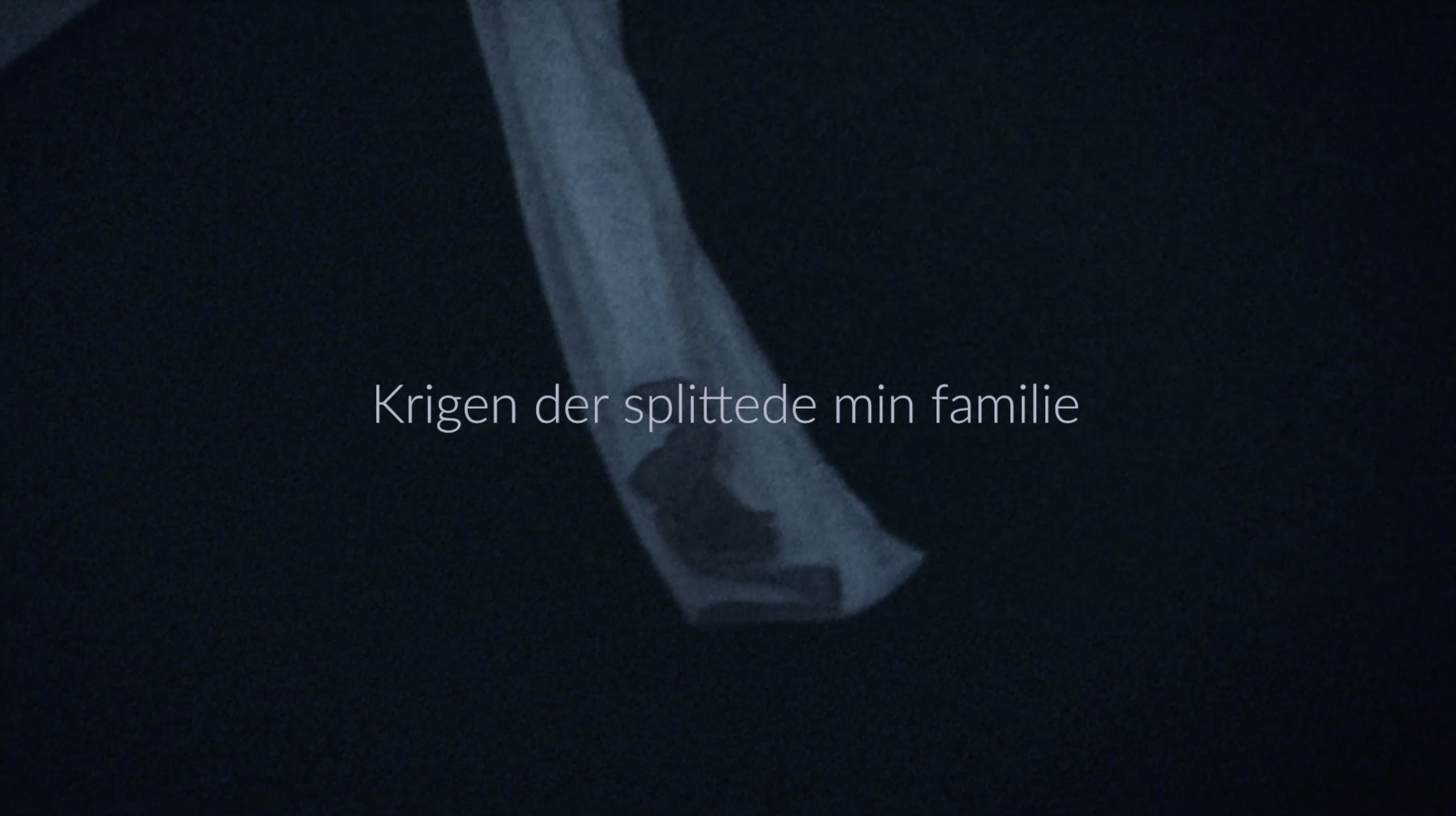 My war torn family